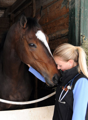 racehorse veterinary