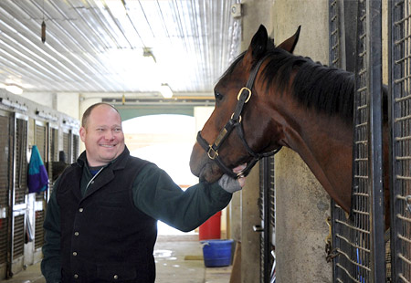 racehorse veterinary care