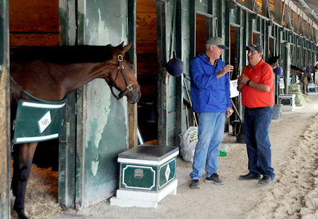 fl, md, ny, ky racetrack equine services